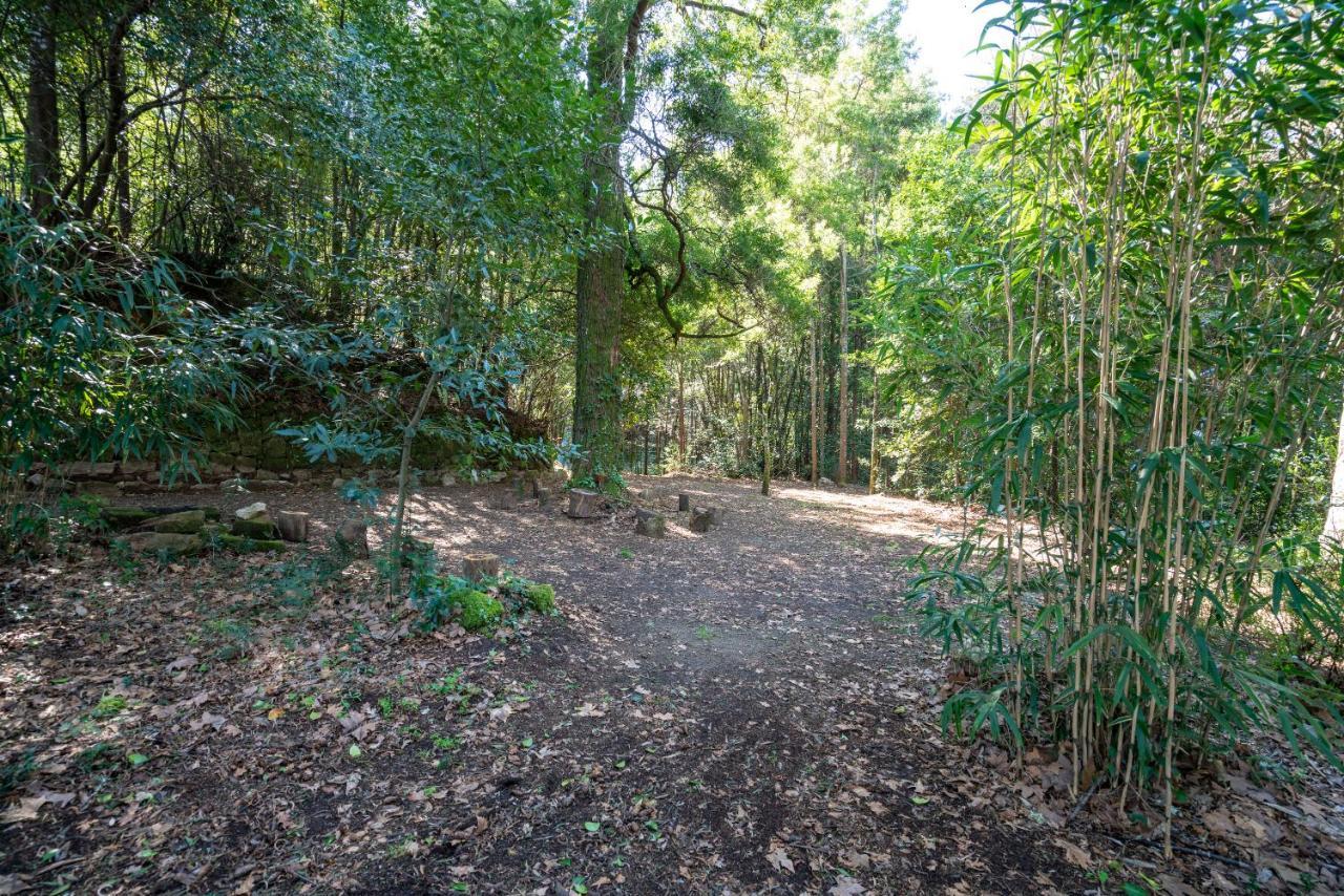 Quinta Das Lamas - Oak Tree House Возела Экстерьер фото