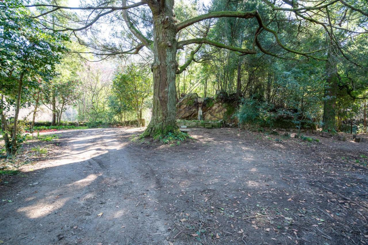 Quinta Das Lamas - Oak Tree House Возела Экстерьер фото